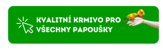 GJ CTA